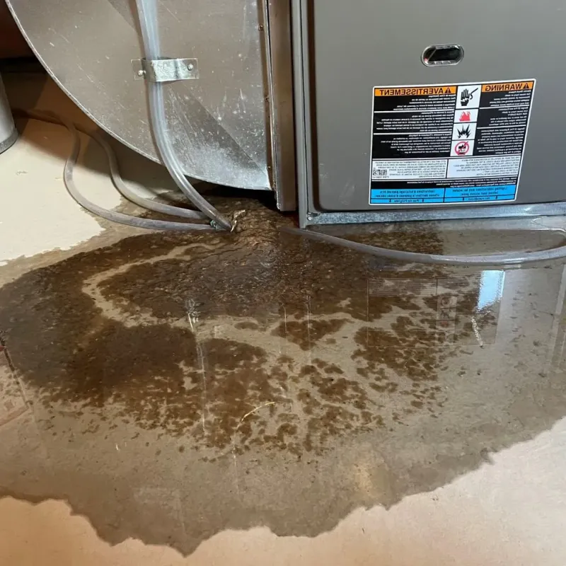 Pipe Burst and Leak Restoration in Peru, IL